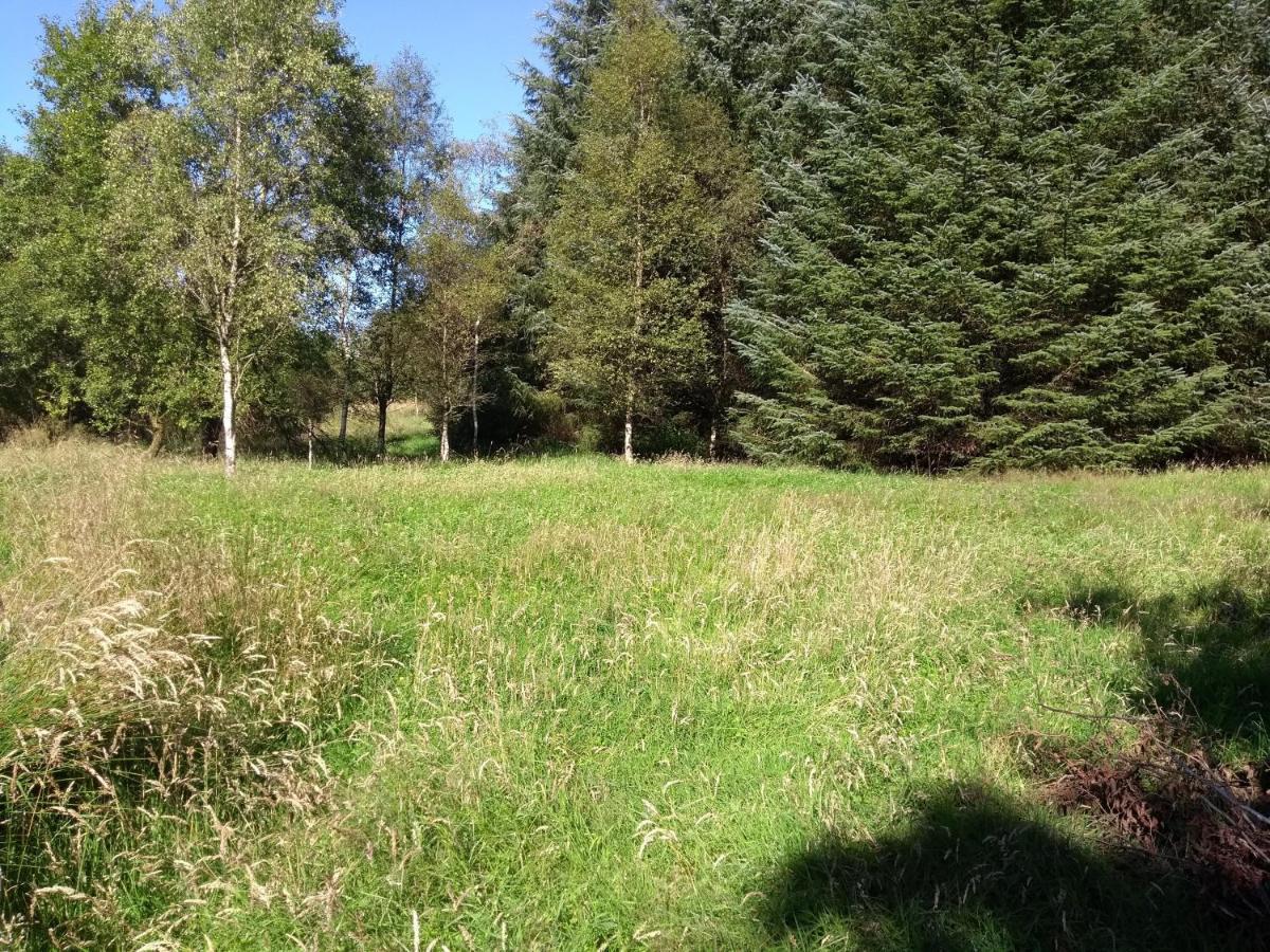 Cleeves Cabins Arran Luxury Lodge With Hot Tub Dalry  Exteriör bild